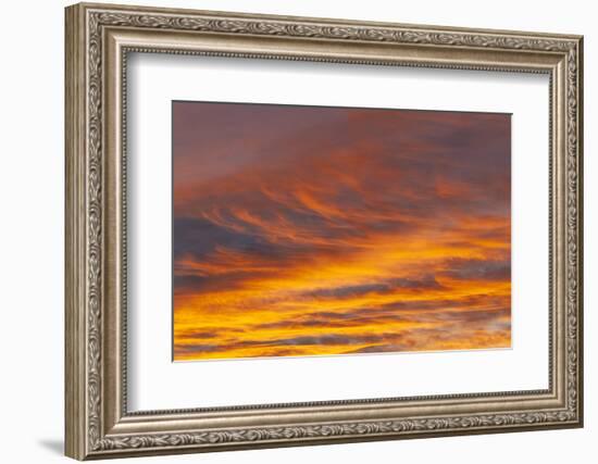 Southern Ocean, South Georgia. Sunset at South Georgia.-Ellen Goff-Framed Photographic Print