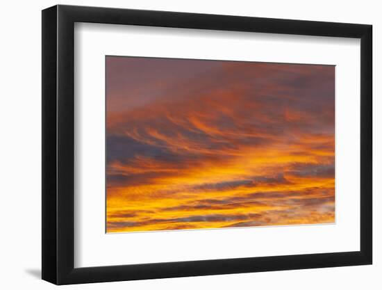 Southern Ocean, South Georgia. Sunset at South Georgia.-Ellen Goff-Framed Photographic Print