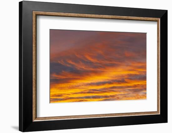 Southern Ocean, South Georgia. Sunset at South Georgia.-Ellen Goff-Framed Photographic Print