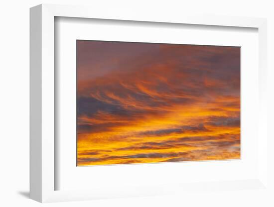 Southern Ocean, South Georgia. Sunset at South Georgia.-Ellen Goff-Framed Photographic Print