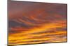 Southern Ocean, South Georgia. Sunset at South Georgia.-Ellen Goff-Mounted Photographic Print