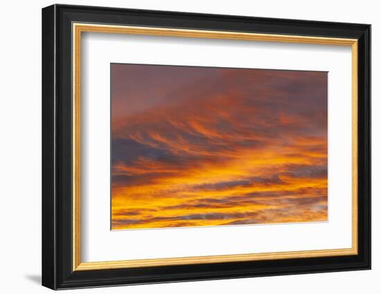 Southern Ocean, South Georgia. Sunset at South Georgia.-Ellen Goff-Framed Photographic Print