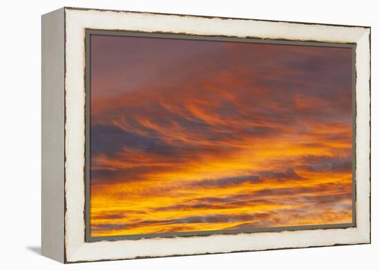 Southern Ocean, South Georgia. Sunset at South Georgia.-Ellen Goff-Framed Premier Image Canvas