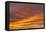 Southern Ocean, South Georgia. Sunset at South Georgia.-Ellen Goff-Framed Premier Image Canvas