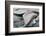 Southern Right Whale Fluke-James White-Framed Photographic Print