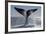 Southern Right Whale Off Peninsula Valdes, Patagonia-Paul Souders-Framed Photographic Print