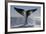 Southern Right Whale Off Peninsula Valdes, Patagonia-Paul Souders-Framed Photographic Print