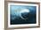 Southern Right Whale's Eye-Doug Allan-Framed Photographic Print