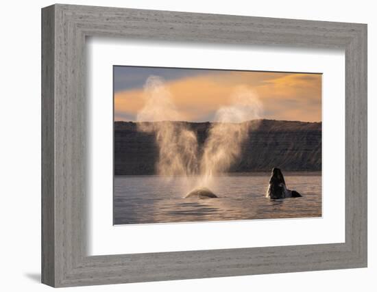 Southern Right whale spouting at surface, with calf breaching-Gabriel Rojo-Framed Photographic Print