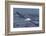 Southern Royal Albatross (Diomedea Epomophora) Flying Low over the Sea-Brent Stephenson-Framed Photographic Print