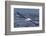 Southern Royal Albatross (Diomedea Epomophora) Flying Low over the Sea-Brent Stephenson-Framed Photographic Print