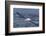 Southern Royal Albatross (Diomedea Epomophora) Flying Low over the Sea-Brent Stephenson-Framed Photographic Print