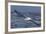 Southern Royal Albatross (Diomedea Epomophora) Flying Low over the Sea-Brent Stephenson-Framed Photographic Print