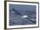 Southern Royal Albatross (Diomedea Epomophora) Flying Low over the Sea-Brent Stephenson-Framed Photographic Print