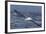 Southern Royal Albatross (Diomedea Epomophora) Flying Low over the Sea-Brent Stephenson-Framed Photographic Print