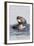 Southern Sea Otter Eats a Clam-Hal Beral-Framed Photographic Print