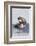 Southern Sea Otter Eats a Clam-Hal Beral-Framed Photographic Print