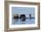 Southern Sea Otter-Lynn M^ Stone-Framed Photographic Print