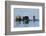 Southern Sea Otter-Lynn M^ Stone-Framed Photographic Print