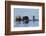 Southern Sea Otter-Lynn M^ Stone-Framed Photographic Print