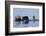 Southern Sea Otter-Lynn M^ Stone-Framed Photographic Print