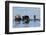 Southern Sea Otter-Lynn M^ Stone-Framed Photographic Print