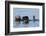 Southern Sea Otter-Lynn M^ Stone-Framed Photographic Print