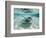 Southern Stingrays Swimming at Stingray City-Paul Souders-Framed Photographic Print