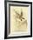 Southern Tern, 1891-Gracius Broinowski-Framed Giclee Print