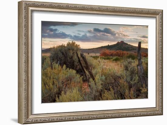 Southern Utah Roadside-Vincent James-Framed Photographic Print