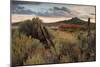 Southern Utah Roadside-Vincent James-Mounted Photographic Print