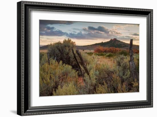 Southern Utah Roadside-Vincent James-Framed Photographic Print