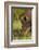 Southern white rhinoceros (Ceratotherium simum simum), Kruger National Park, South Africa-David Wall-Framed Photographic Print