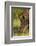 Southern white rhinoceros (Ceratotherium simum simum), Kruger National Park, South Africa-David Wall-Framed Photographic Print