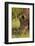 Southern white rhinoceros (Ceratotherium simum simum), Kruger National Park, South Africa-David Wall-Framed Photographic Print