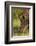 Southern white rhinoceros (Ceratotherium simum simum), Kruger National Park, South Africa-David Wall-Framed Photographic Print