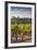 Southwest Australia, Margaret River Wine Region, Vineyard-Walter Bibikow-Framed Photographic Print