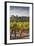 Southwest Australia, Margaret River Wine Region, Vineyard-Walter Bibikow-Framed Photographic Print