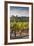 Southwest Australia, Margaret River Wine Region, Vineyard-Walter Bibikow-Framed Photographic Print