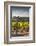 Southwest Australia, Margaret River Wine Region, Vineyard-Walter Bibikow-Framed Photographic Print