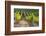 Southwest Australia, Margaret River Wine Region, Vineyard-Walter Bibikow-Framed Photographic Print