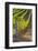 Southwest Australia, Margaret River Wine Region, Vineyard-Walter Bibikow-Framed Photographic Print