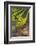 Southwest Australia, Margaret River Wine Region, Vineyard-Walter Bibikow-Framed Photographic Print