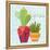 Southwest Cactus II-Courtney Prahl-Framed Stretched Canvas