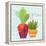 Southwest Cactus II-Courtney Prahl-Framed Stretched Canvas