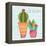 Southwest Cactus IV-Courtney Prahl-Framed Stretched Canvas