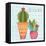 Southwest Cactus IV-Courtney Prahl-Framed Stretched Canvas