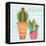 Southwest Cactus IV-Courtney Prahl-Framed Stretched Canvas