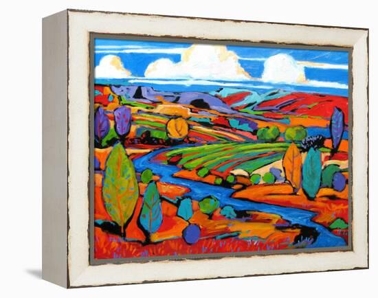 Southwest Fauve Landscape-Patty Baker-Framed Stretched Canvas