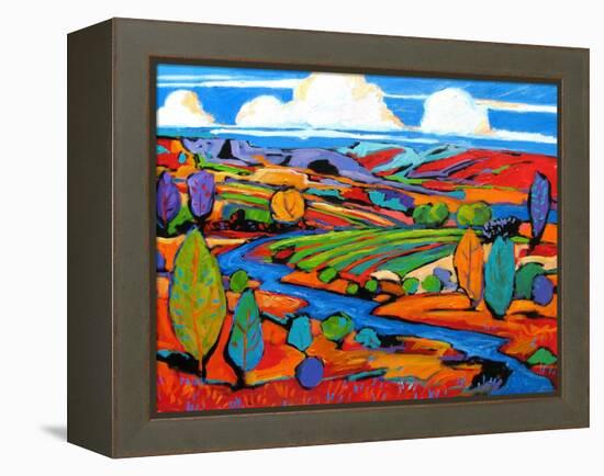 Southwest Fauve Landscape-Patty Baker-Framed Stretched Canvas